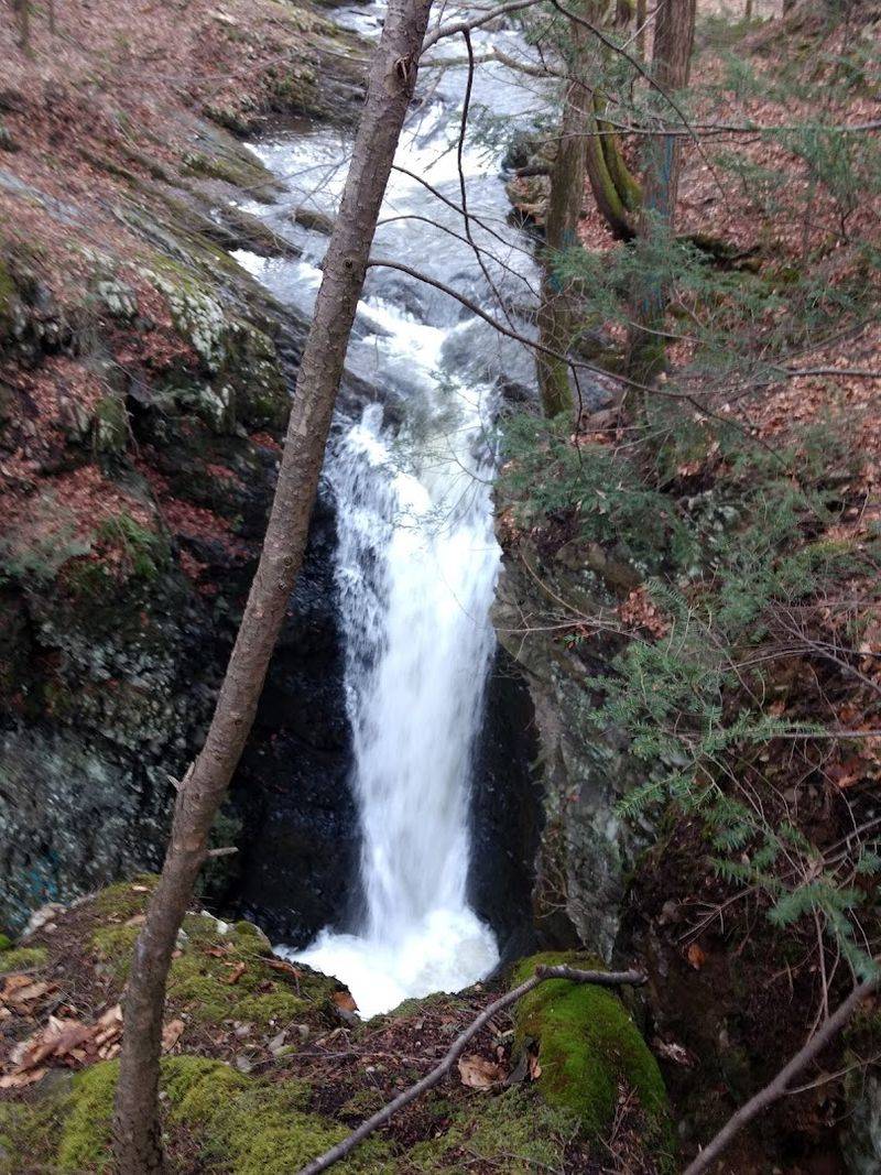 A Waterfall You Can Actually Swim In