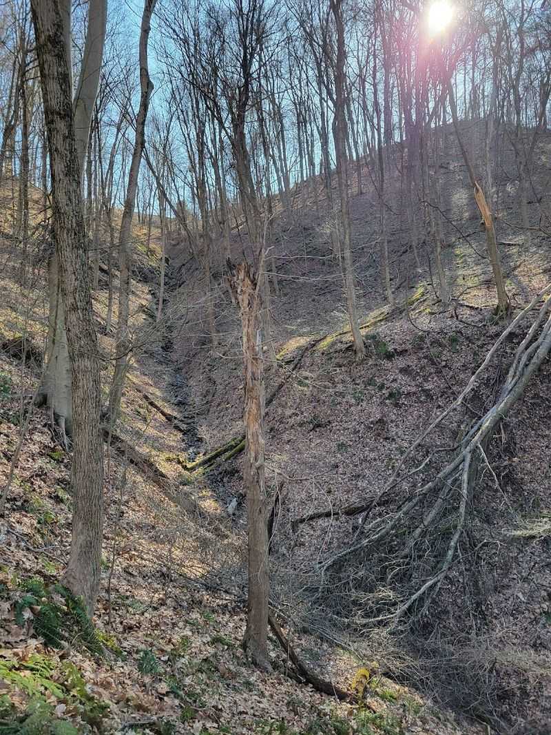 372 Acres Of Surprisingly Wild Land