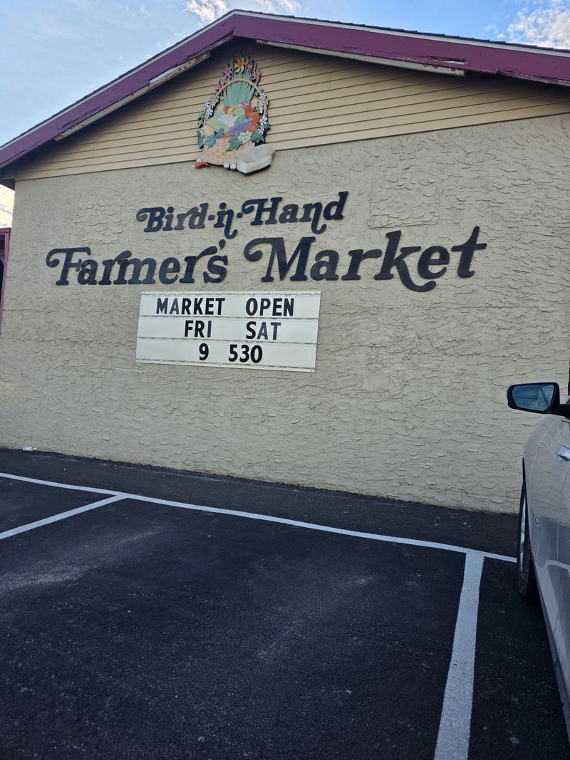 Authentic Amish Quilts That Tell Stories Through Stitches