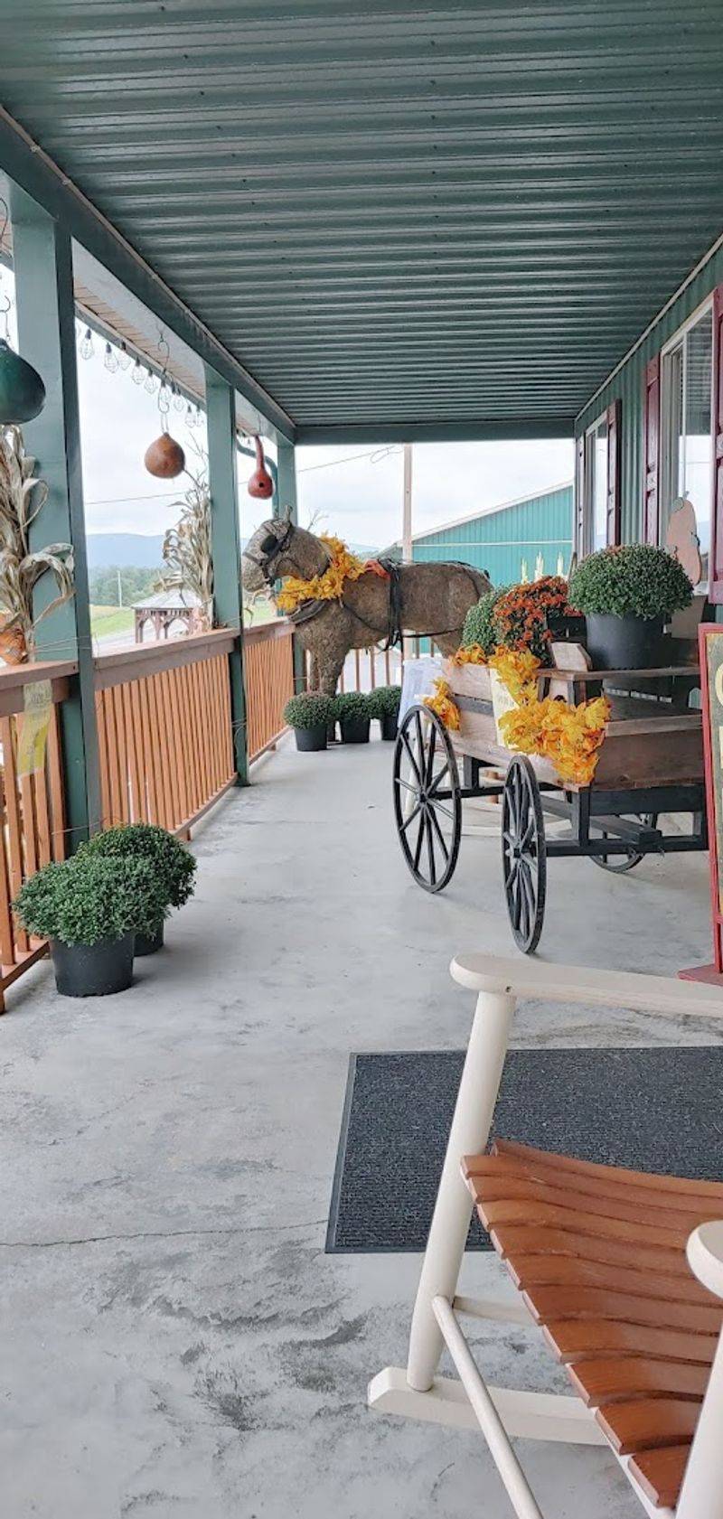 Free Sunflower Picking That Actually Costs Nothing