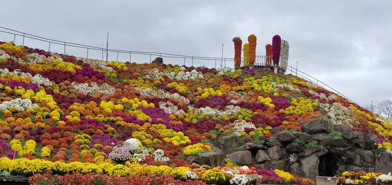 No Entrance Fee Required