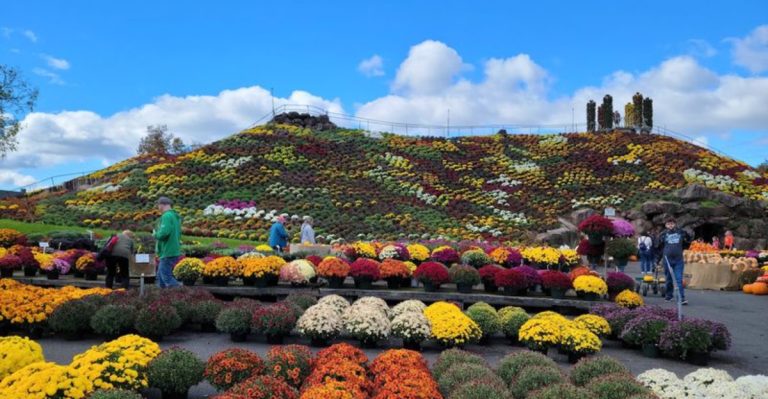 This Pennsylvania Garden Center Features A 40-Foot Mountain Blooming With Flowers