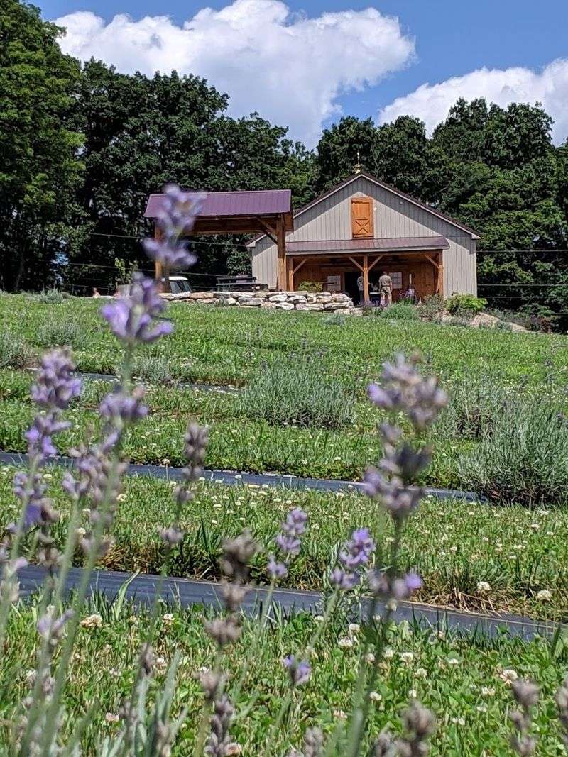 The Scent That Greets You Before You Even Park