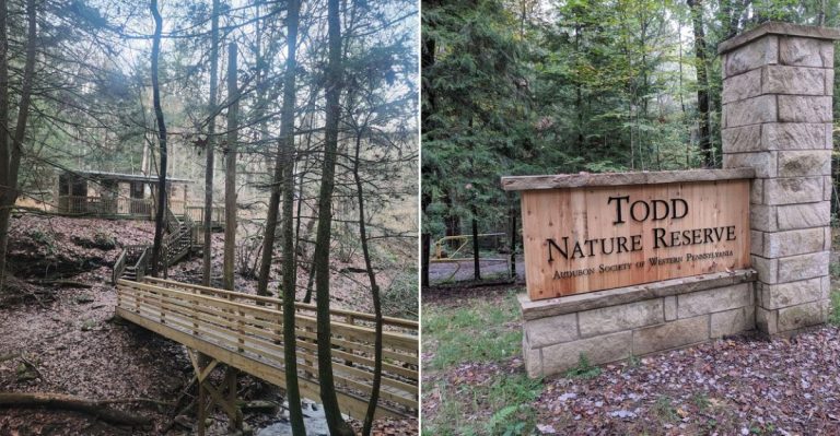This Pennsylvania Nature Reserve Feels Like A Quiet Sanctuary Hidden In Plain Sight