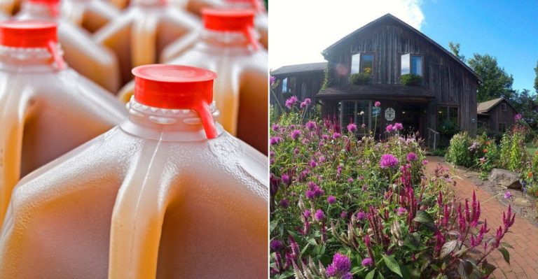The Quaint Pennsylvania Apple Orchard That’s Perfect For A Fall Weekend Stroll