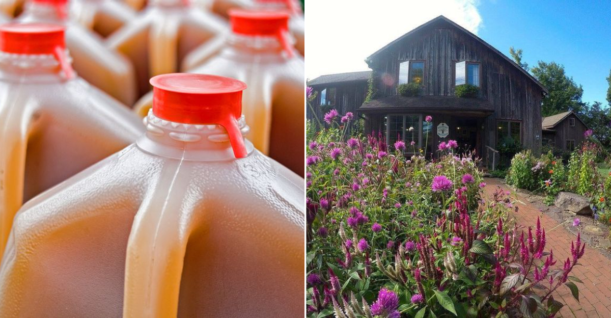 The Quaint Pennsylvania Apple Orchard That’s Perfect For A Fall Weekend Stroll