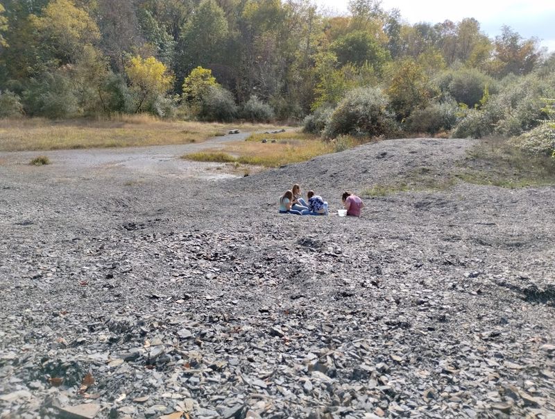 The Fossil Pit Is Free To Visit