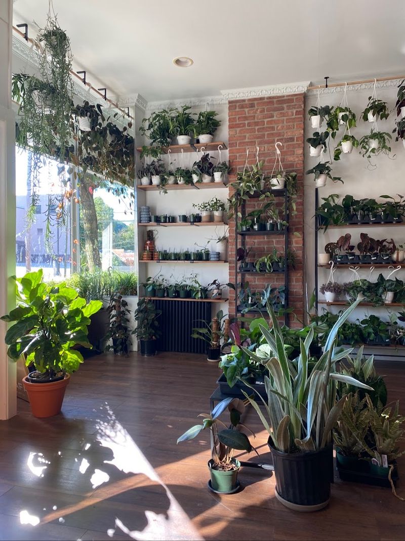 A Shop That Defies Easy Categories