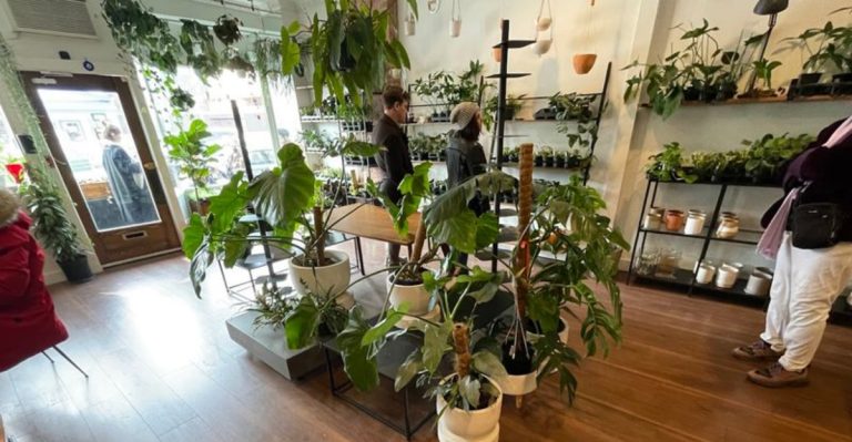 This Pennsylvania Plant Shop Will Make You Feel Like You’ve Found A Hidden Garden