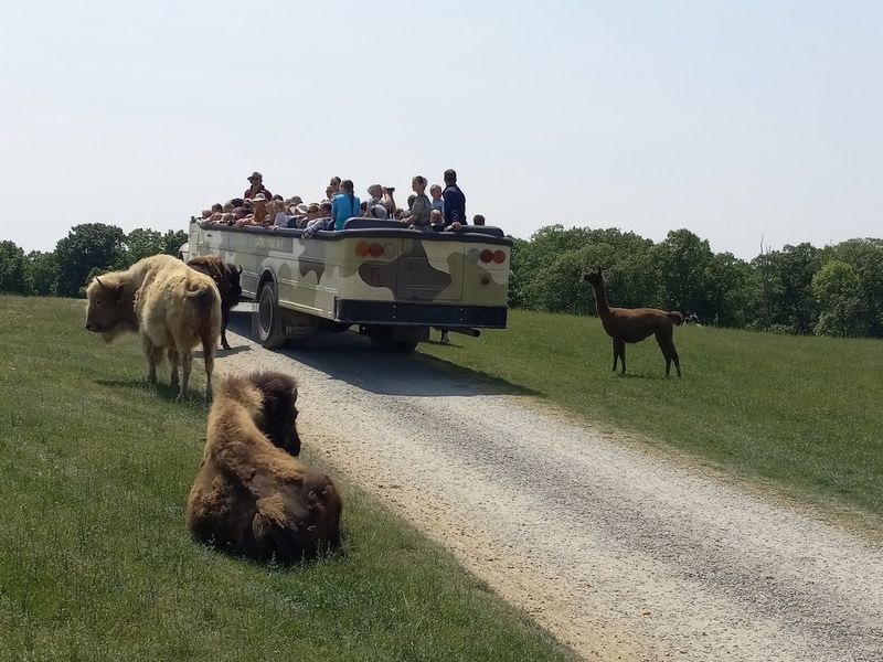 From Humble Beginnings To A 150-Acre Wildlife Destination