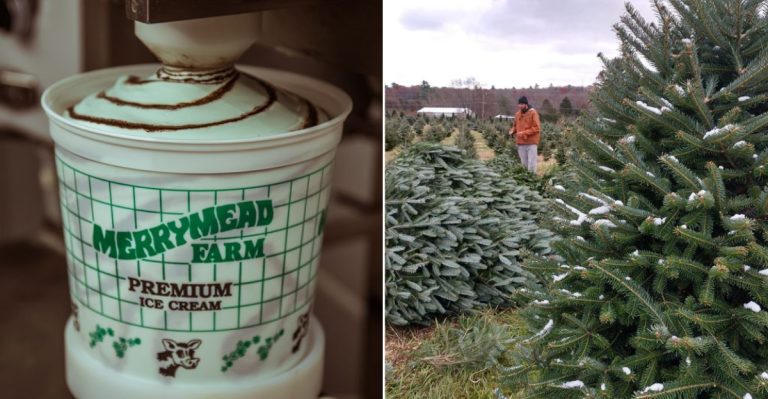 This Pennsylvania Countryside Ice Cream Stand Stays Open Through Snowstorms And People Still Line Up
