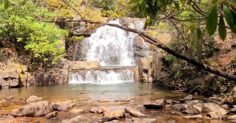 This Pennsylvania State Park Is Winning Families Over With Gorgeous Views And Scenic Trails