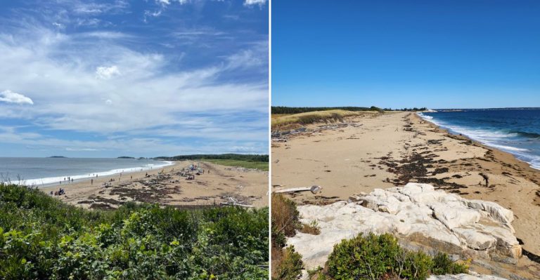 This Picture-Perfect Beach Park In Maine Feels Made For Summer