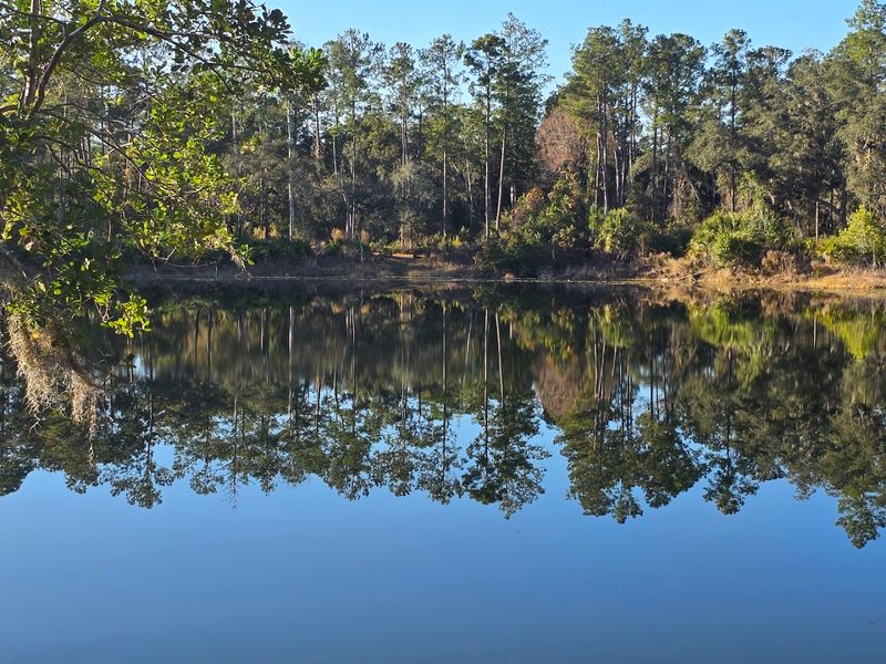 The First Glimpse Of Blue Pond