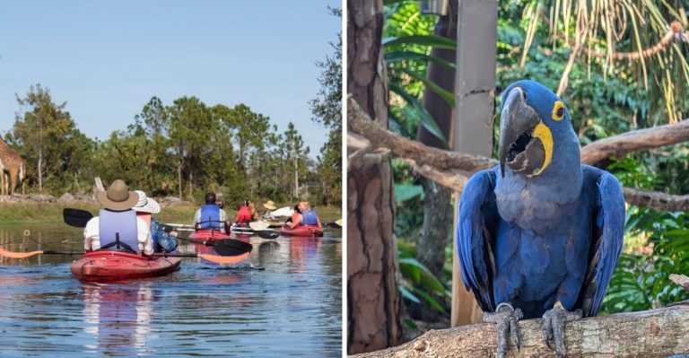 This Popular Florida Zoo Is Giving Dads A Free Father’s Day Treat
