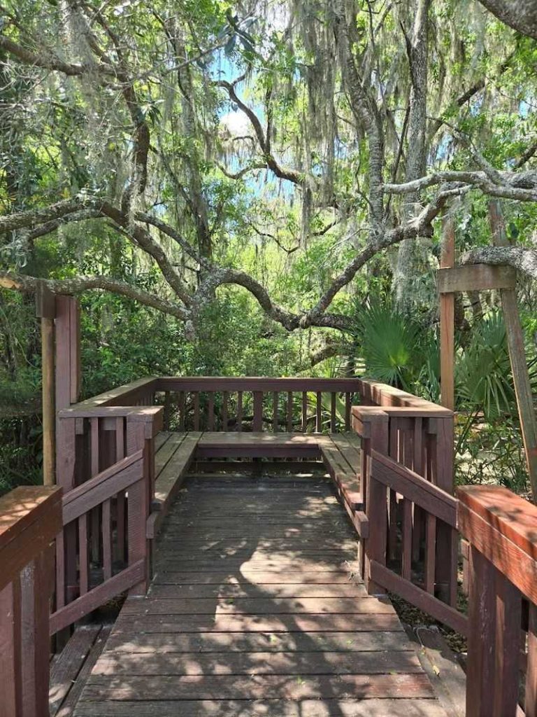 This Prehistoric Florida Spring Just 2 Hours From Jacksonville Feels ...