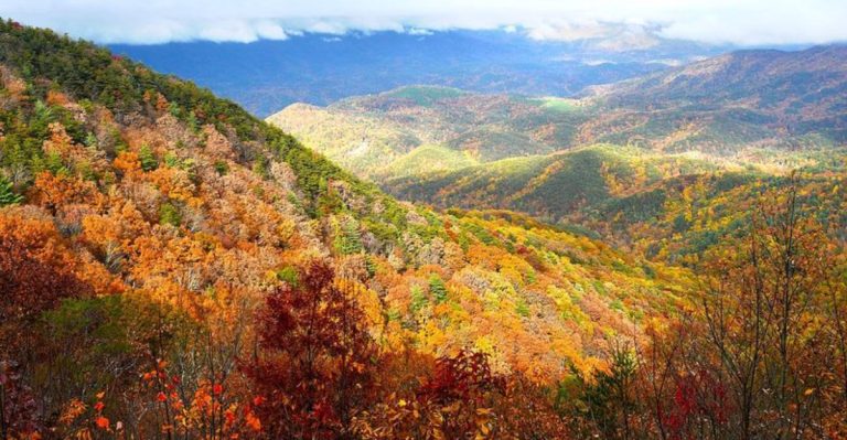 This Quaint Georgia Mountain Village Is The Perfect Fall Foliage Escape