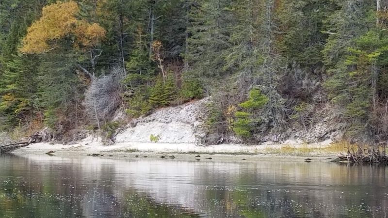 A Town Built On Oyster Shells