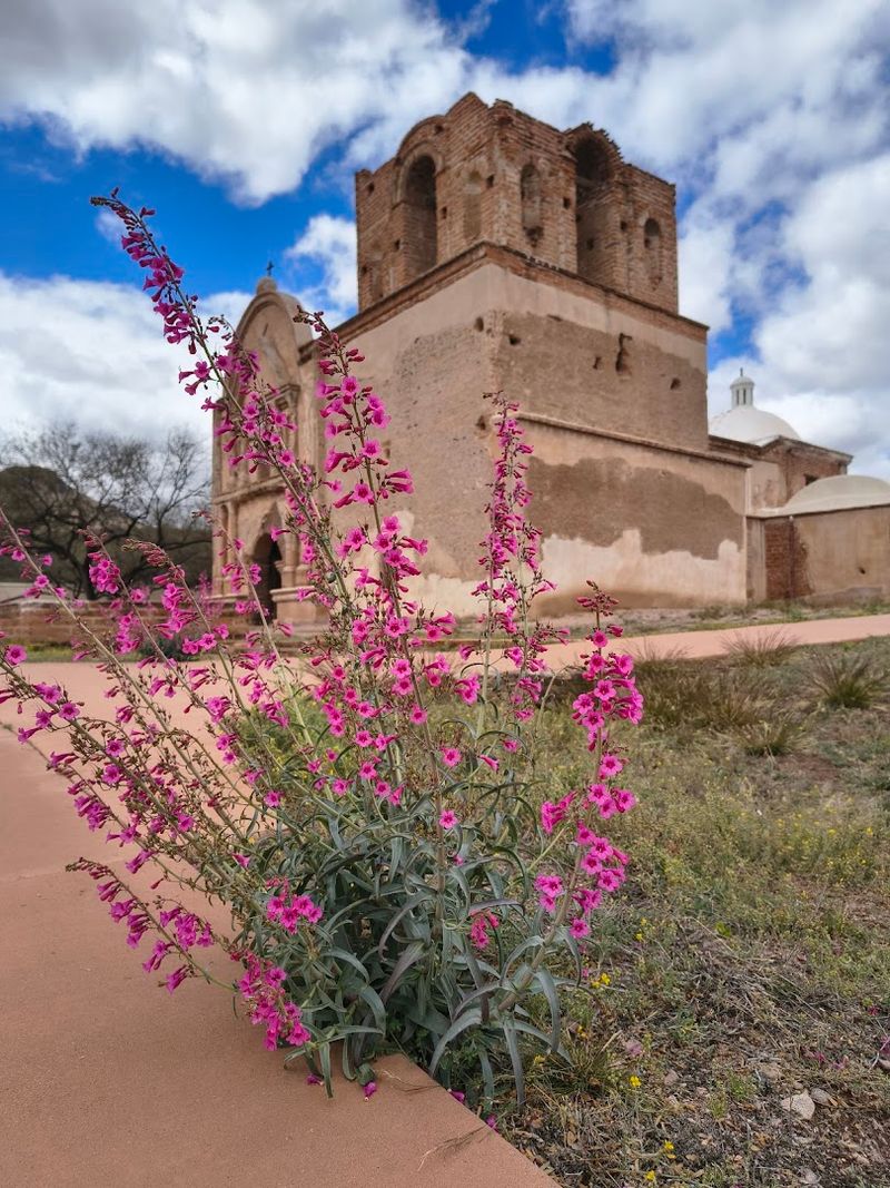 The Origins of a Mission That Started It All