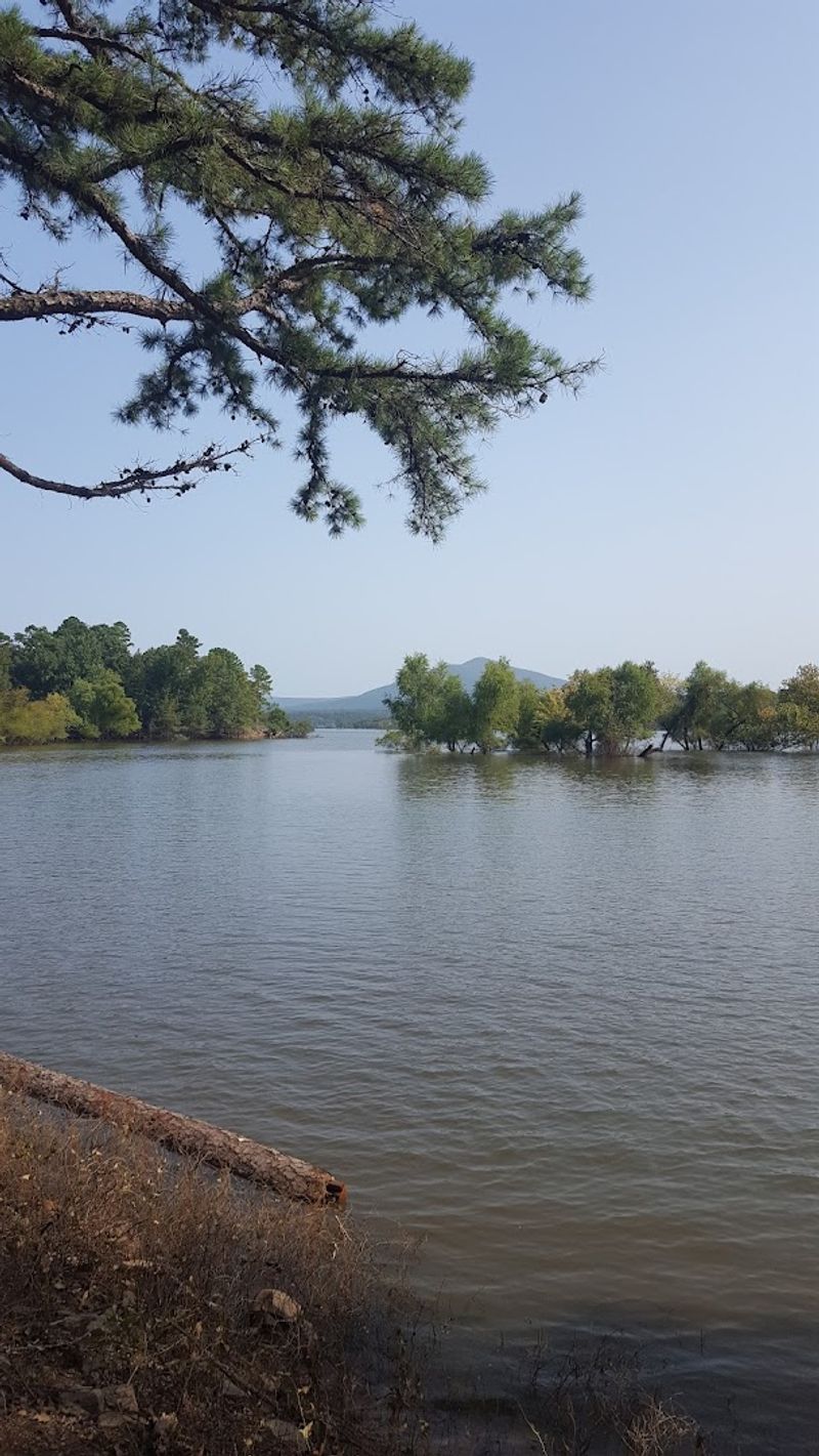 Hidden Ozark Shoreline Perspective
