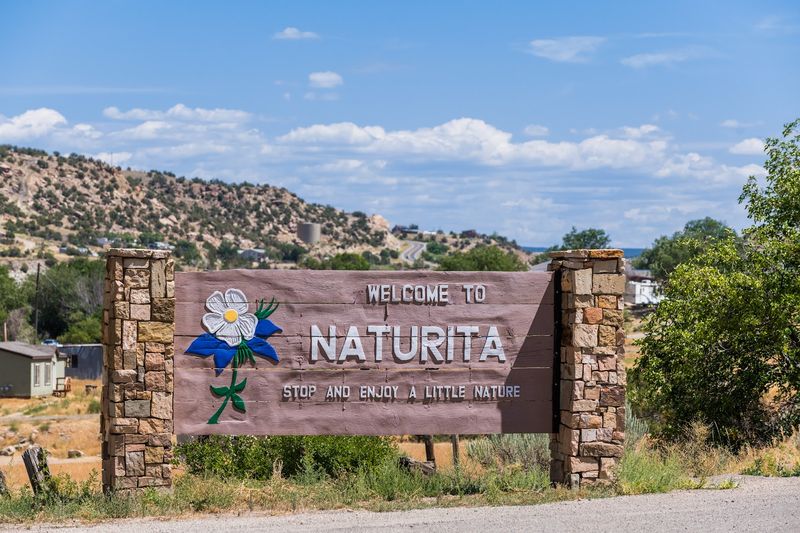 The Plan Makes Itself