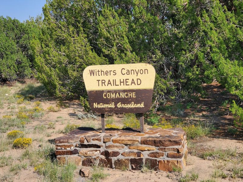 The Trailhead That Starts It All: Withers Canyon Access Point