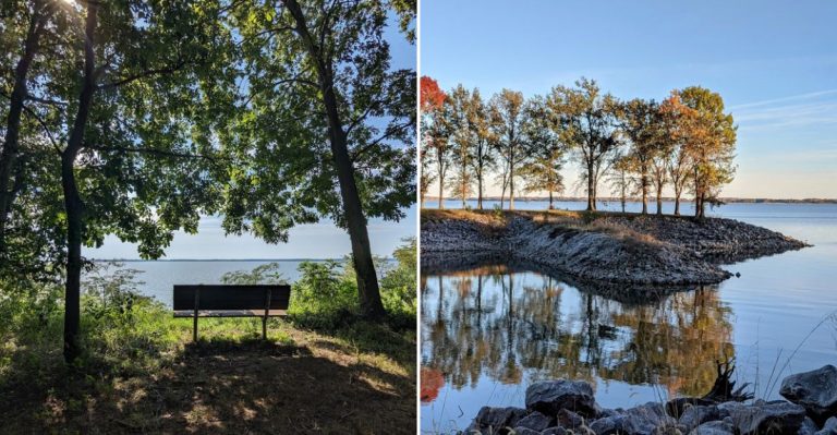 This Quiet Illinois Park Features A Lake As Vast As A Freshwater Ocean