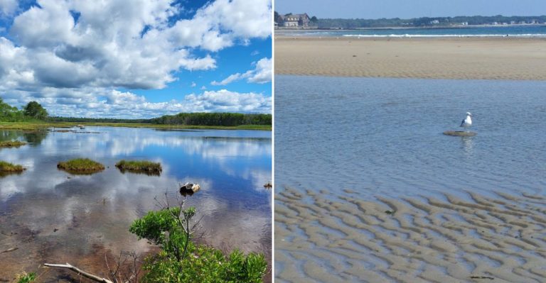 This Quiet Maine Beach Has Some Of The Purest Water You’ll Ever See