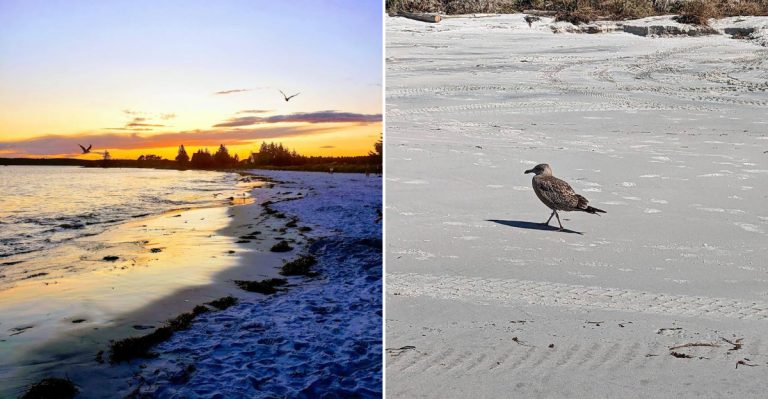 This Quiet Maine Beach Has Some Of The Whitest Sand On The East Coast