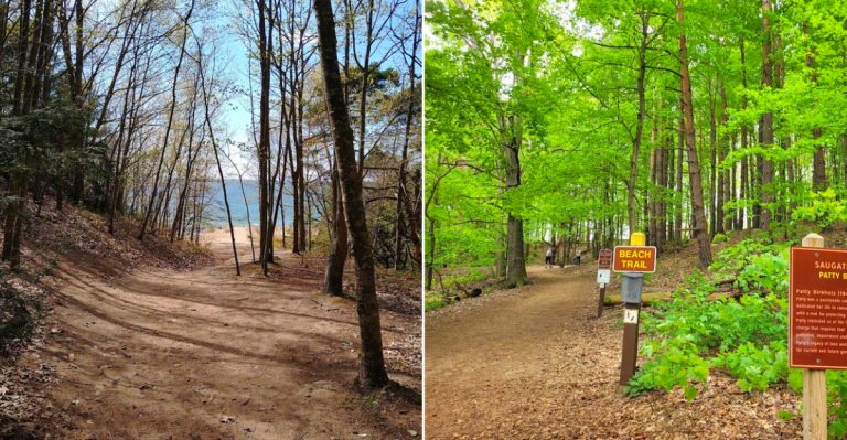 Saugatuck Dunes State Park