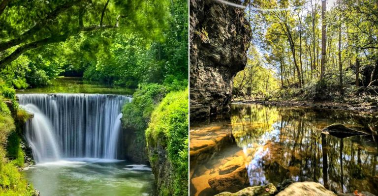 This Quiet Ohio Hike Leads Straight Into A Gorge Full Of True Natural Beauty
