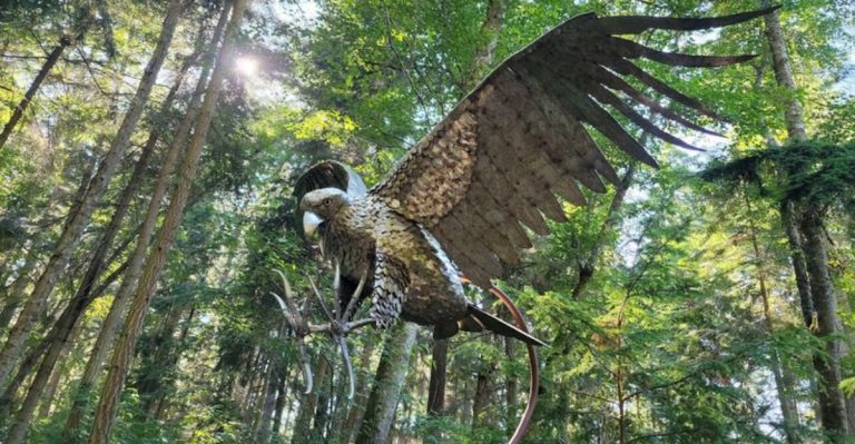 This Quiet Washington Forest Walk Suddenly Becomes A Whimsical Outdoor Art Gallery