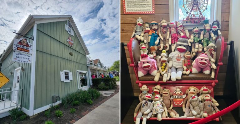 This Quirky Illinois Museum Is Dedicated Entirely To Sock Monkeys