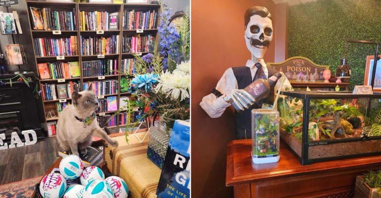 Deadtime Stories Books & Gifts