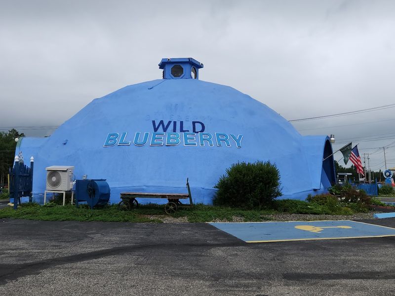The Giant Blueberry Dome You Can’t Miss