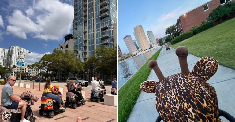 This Quirky Tampa Florida Tour Lets You Ride A Giant Stuffed Animal Through The City