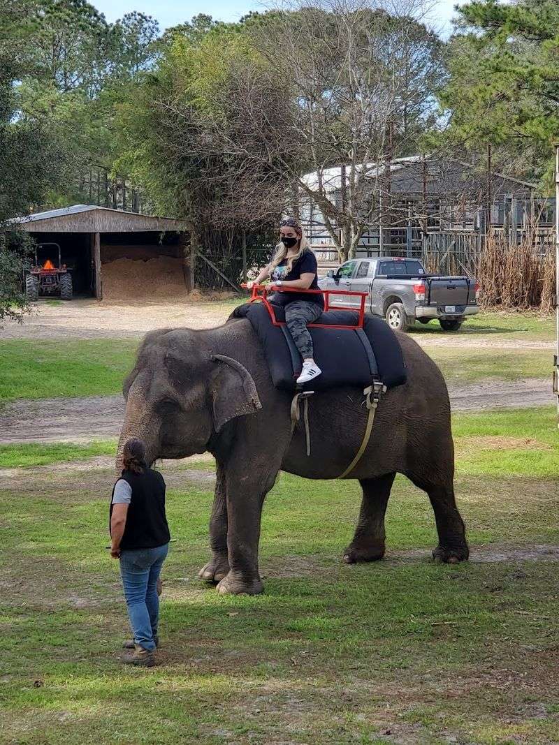 A Family Legacy Built On Exotic Animal Care