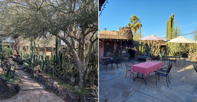 This Refined Arizona Steakhouse Pairs Fine Dining With A Museum, A Gift Shop, And A Secret Garden