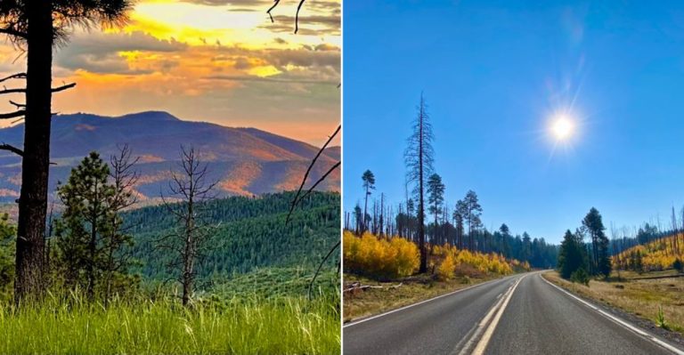 This Remarkable 120-Mile Arizona Drive Winds Through Some Of The Most Gorgeous Scenery On Earth