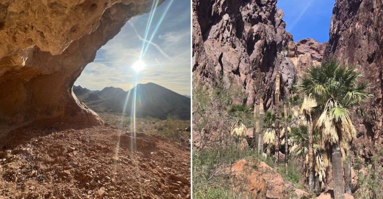 This Remote Arizona Canyon Hides A Surprising Oasis Of Native Palm Trees