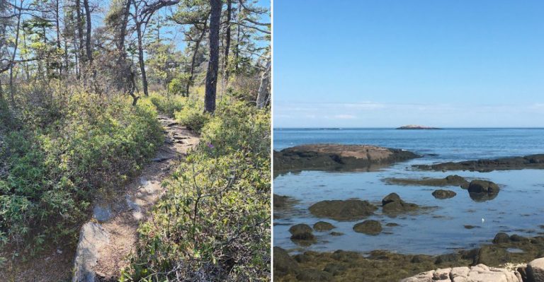 This Remote Maine Path Leads To A Mossy Coastal Wonderland Few People Know About