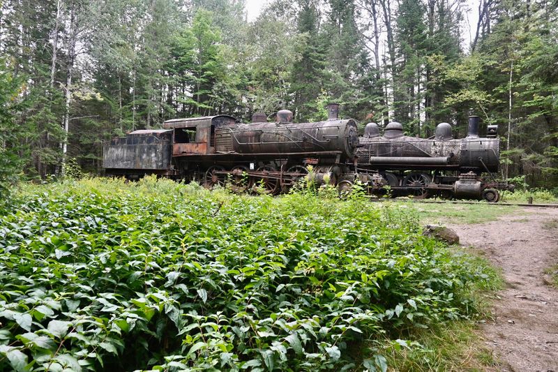 A Railroad Built Entirely For Timber
