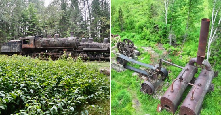 This Remote Maine Wilderness Conceals An Abandoned Train That Feels Cinematic