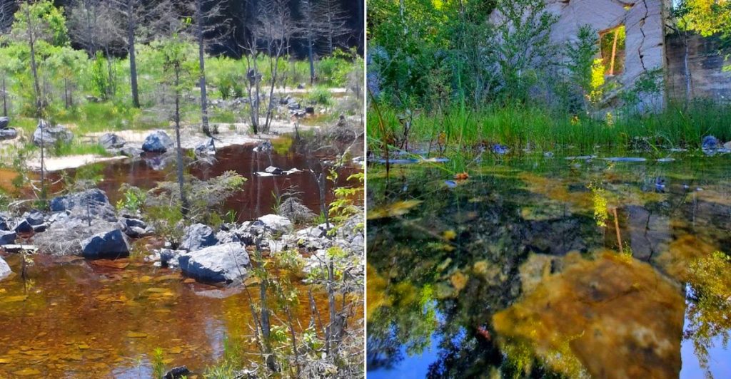 This Remote Michigan Forest Preserve Hides A Rare Water Cave