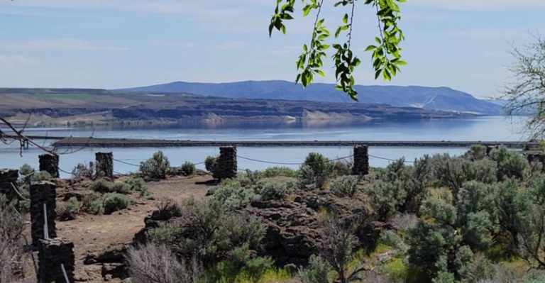 This Remote State Park In Washington Is Home To The World’s Most Unusual Forest