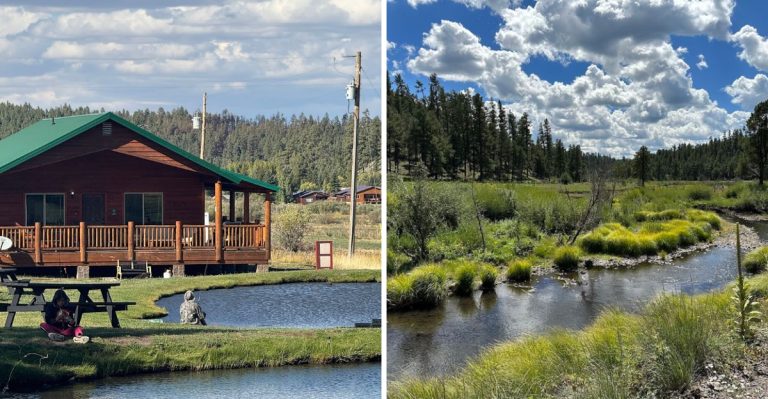 This Riverfront Cabin Escape Is A Arizona Nature Lovers Dream