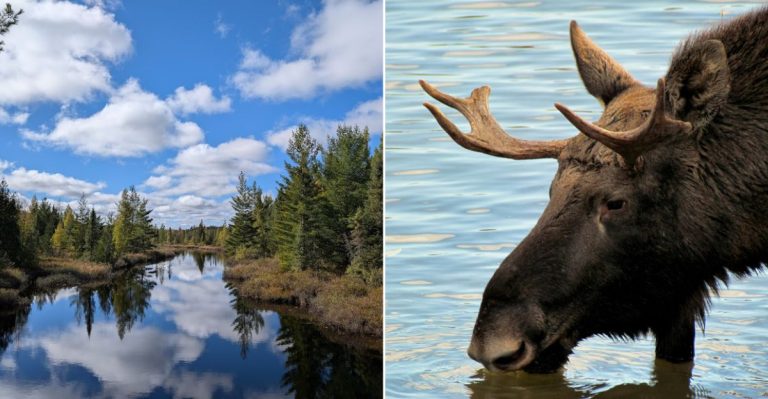Craig Lake State Park