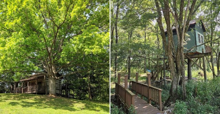 This Rustic Cabin Retreat In Illinois Feels Like A Hidden Forest Escape