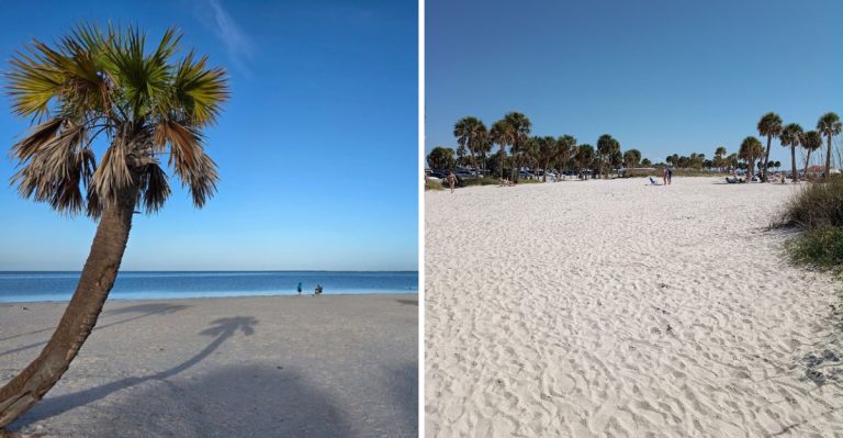 This Scenic 1-Mile Road In Florida Ends At A Sugar-White Beach