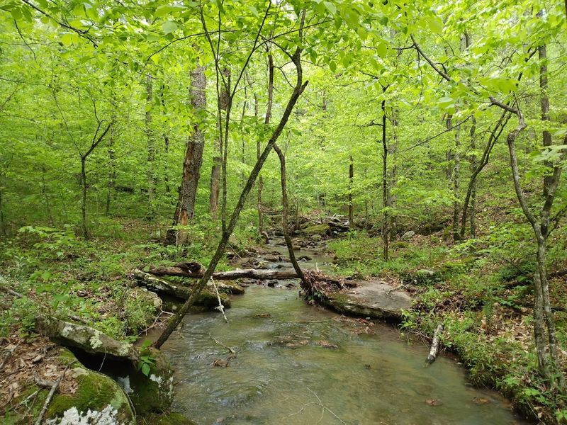 Discover One of Arkansas' Most Scenic Hidden Waterfall Hikes